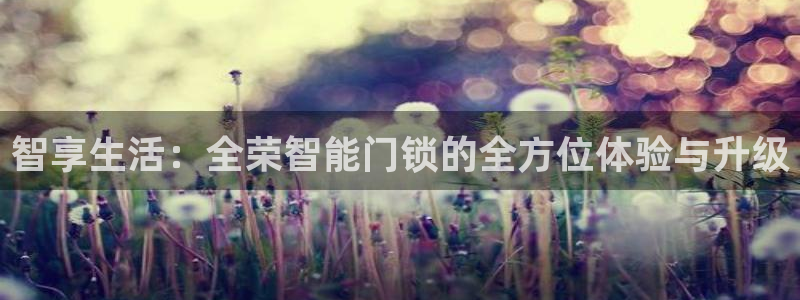 富联娱乐主管留判官333OO：智享生活：全荣智能门锁的全方位