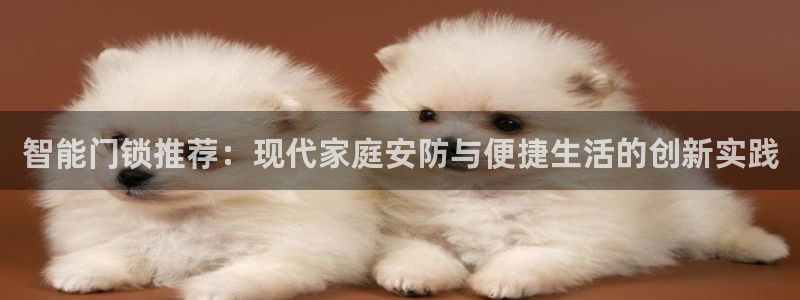 富联娱乐322901：智能门锁推荐：现代家庭安防与便捷生活的