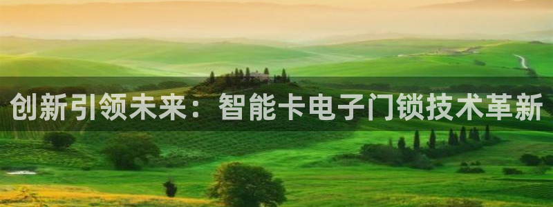 富联娱乐指究7276O：创新引领未来：智能卡电子门锁技术革新