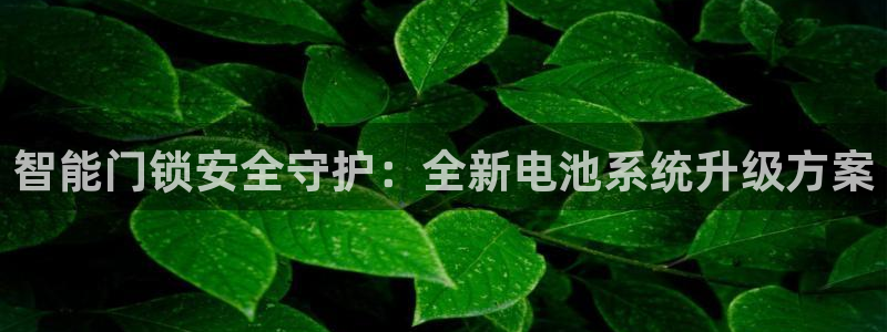富联娱乐在线注册链接是什么意思：智能门锁安全守护：全新电池系
