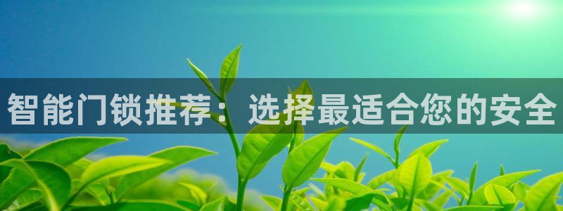 富联娱乐招商鱼判官333OO：智能门锁推荐：选择最适合您的安