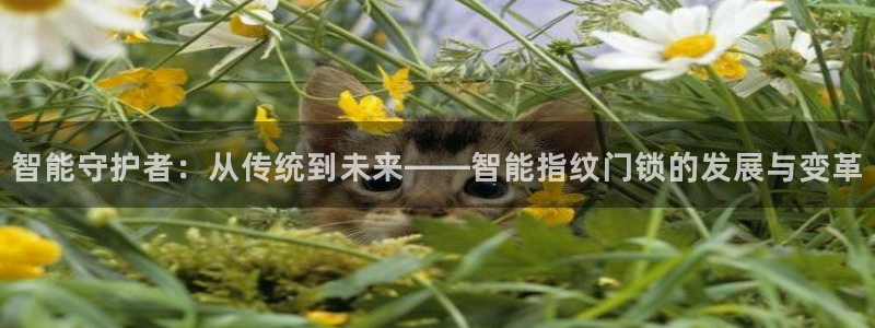 富联娱乐元哥简介图片：智能守护者：从传统到未来——智能指纹门