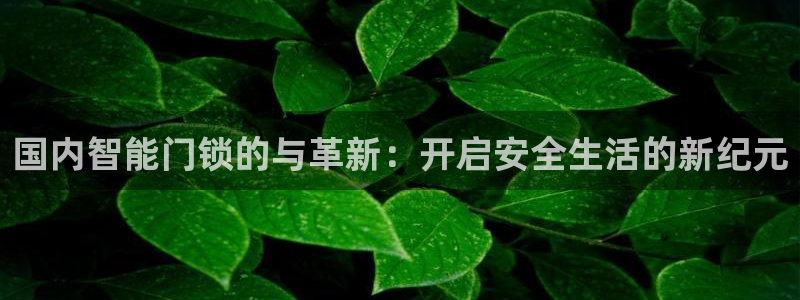 富联娱乐招商杂判官333OO：国内智能门锁的与革新：开启安全