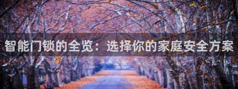 富联娱乐官方app下载：智能门锁的全览：选择你的家庭安全方案