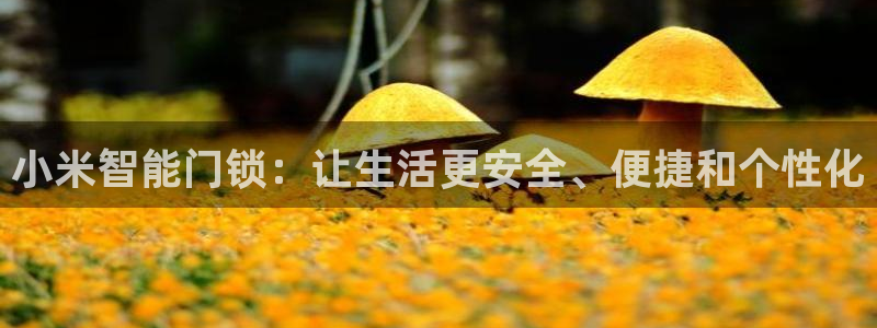 富联娱乐注册地址查询：小米智能门锁：让生活更安全、便捷和个性
