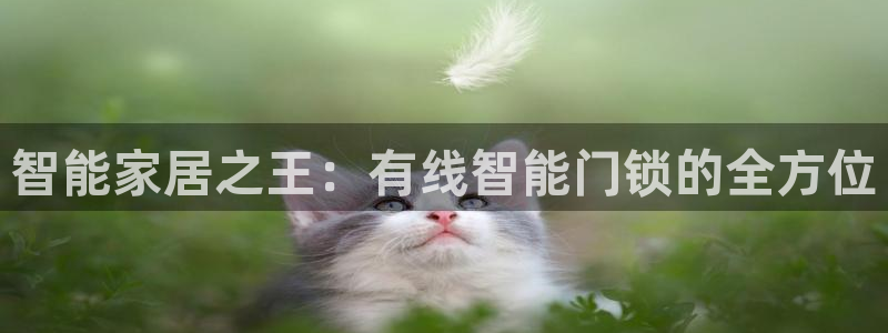 富联娱乐主管会判官333OO：智能家居之王：有线智能门锁的全