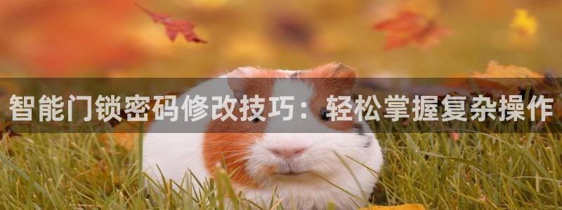 富联娱乐总代理电话号码：智能门锁密码修改技巧：轻松掌握复杂操