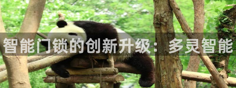 富联娱乐曼谷快三真假：智能门锁的创新升级：多灵智能