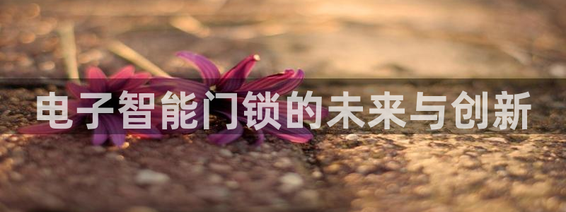 富联2娱乐招熵：电子智能门锁的未来与创新