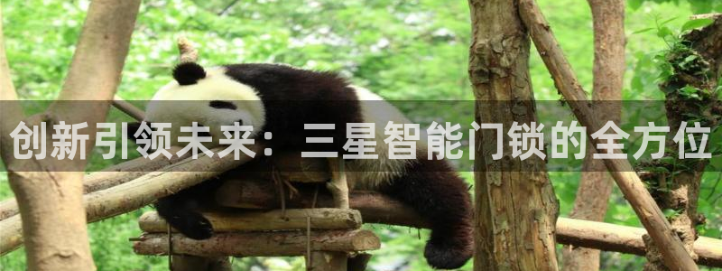 富联娱乐测速软件下载：创新引领未来：三星智能门锁的全方位