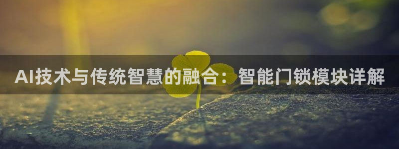 富联娱乐代理是谁开的店：AI技术与传统智慧的融合：智能门锁模