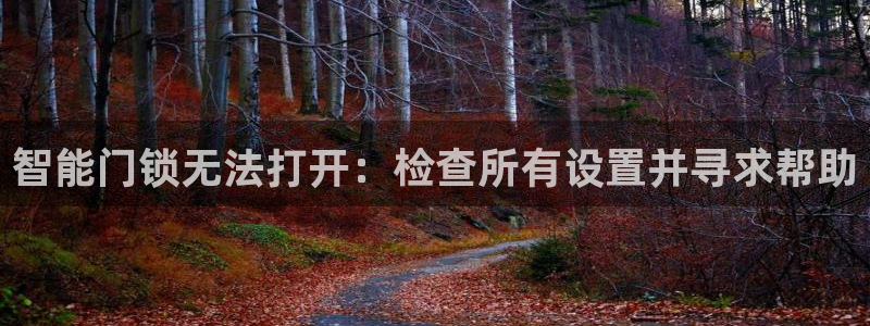 富联娱乐官网入口下载：智能门锁无法打开：检查所有设置并寻求帮
