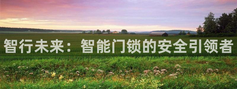 富联娱乐卜六七五一三八：智行未来：智能门锁的安全引领者