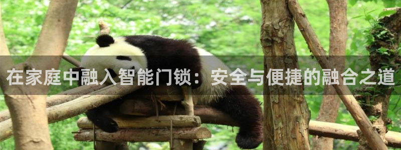 佰富联娱乐团购是正品吗：在家庭中融入智能门锁：安全与便捷的融