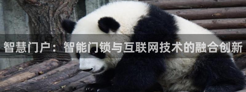 富联娱乐平台官网下载：智慧门户：智能门锁与互联网技术的融合创