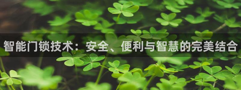 台湾富联娱乐：智能门锁技术：安全、便利与智慧的完美结合