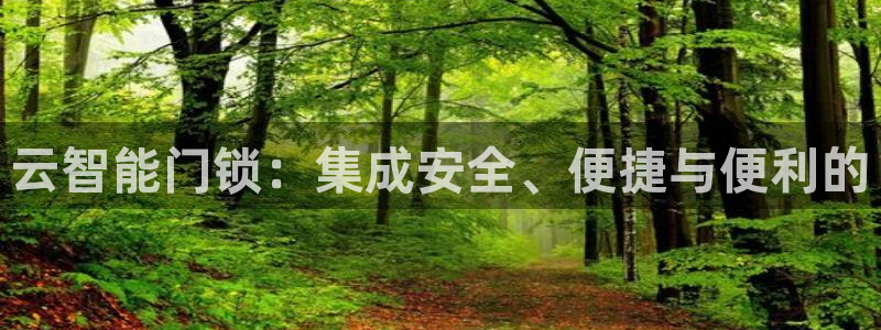 富联娱乐找382223：云智能门锁：集成安全、便捷与便利的