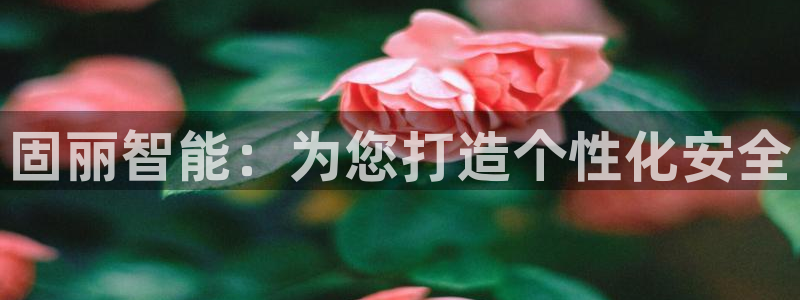 富联娱乐注册定唐老鸭779O3：固丽智能：为您打造个性化安全
