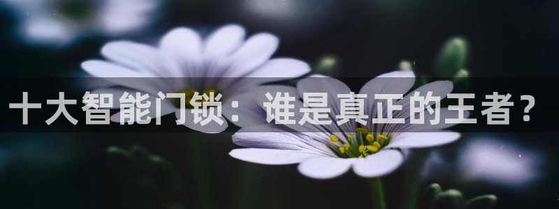 富联娱乐找527b.cn升哥：十大智能门锁：谁是真正的王者？