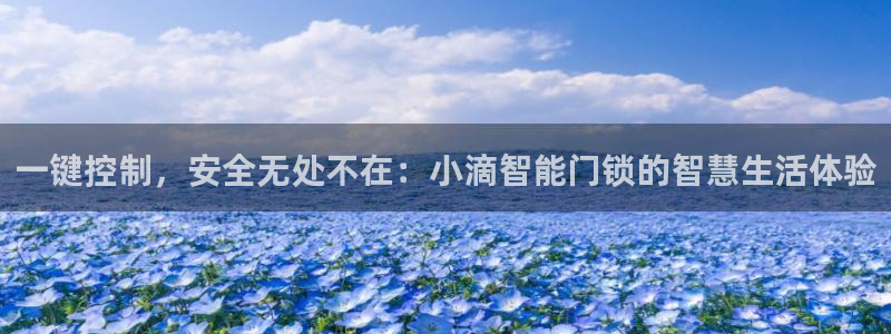 富联2娱乐招熵：一键控制，安全无处不在：小滴智能门锁的智慧生