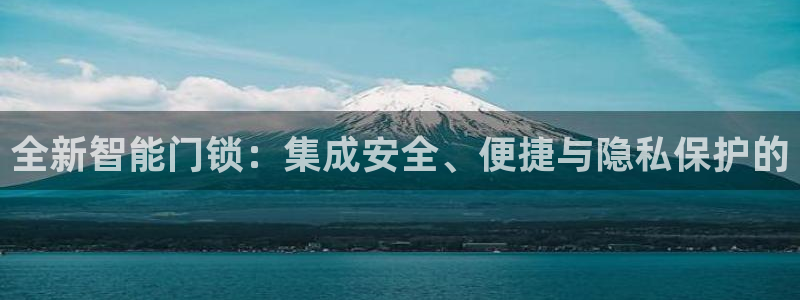 佰富联娱乐团购怎么样：全新智能门锁：集成安全、便捷与隐私保护