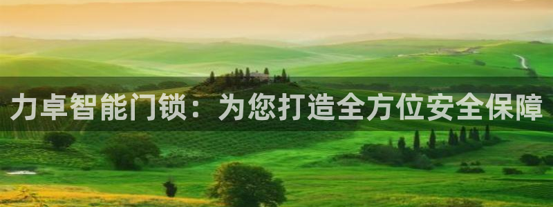 嘉峪关富联娱乐平台：力卓智能门锁：为您打造全方位安全保障