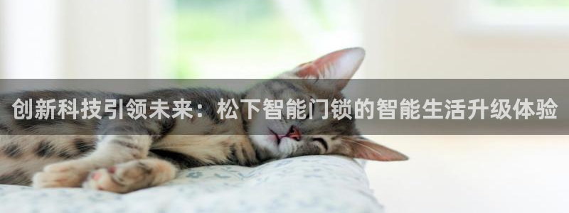 富联娱乐主管效判官333OO：创新科技引领未来：松下智能门锁