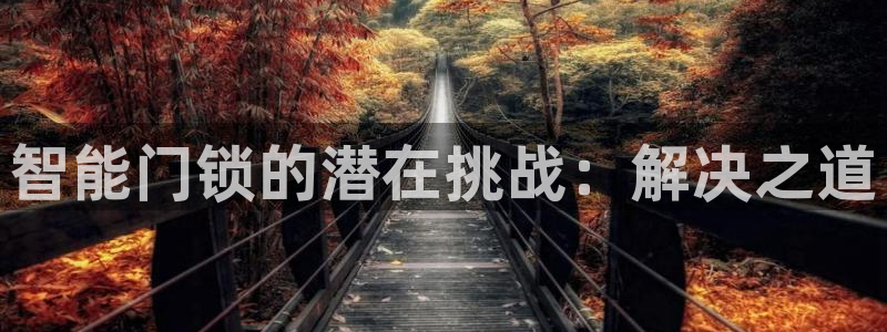 富联2娱乐注册地址在哪：智能门锁的潜在挑战：解决之道