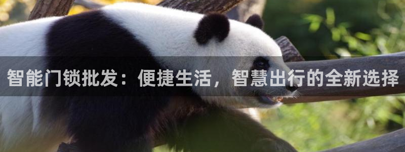 富联娱乐首页登录不了了：智能门锁批发：便捷生活，智慧出行的全