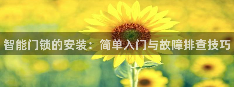 富联娱乐登录注册入口：智能门锁的安装：简单入门与故障排查技巧