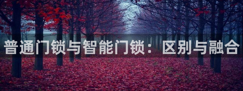 富联娱乐下载app：普通门锁与智能门锁：区别与融合