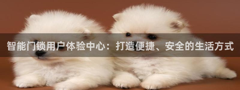 富联娱乐首页官网网址：智能门锁用户体验中心：打造便捷、安全的