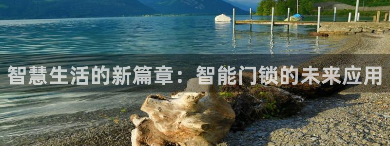 富联2娱乐平台注册不了：智慧生活的新篇章：智能门锁的未来应用