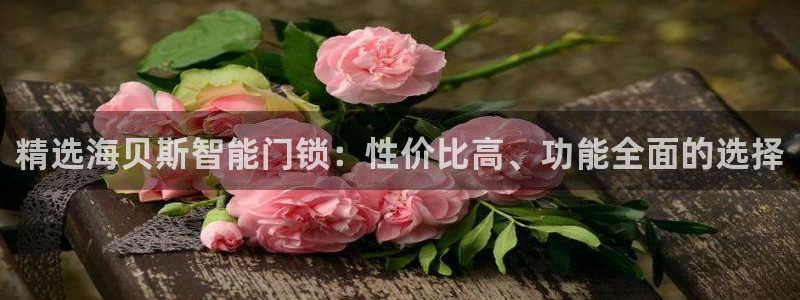 富联娱乐平台特点分析：精选海贝斯智能门锁：性价比高、功能全面