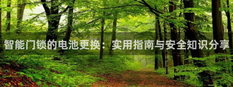 富联娱乐平台官网下载：智能门锁的电池更换：实用指南与安全知识