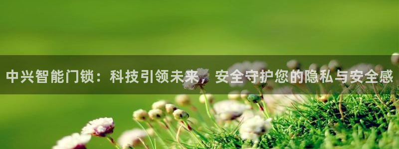 嘉峪关富联娱乐平台：中兴智能门锁：科技引领未来，安全守护您的