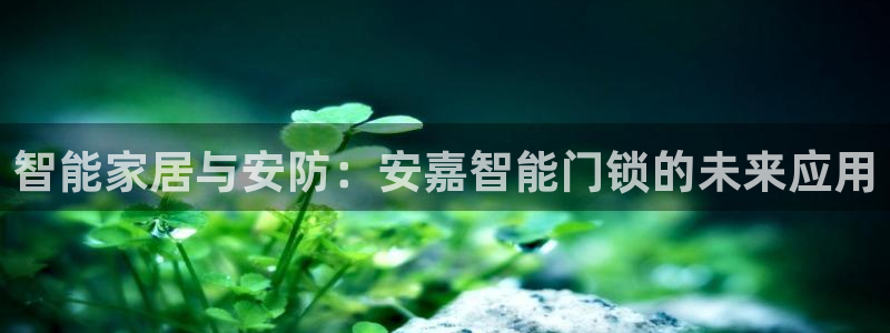 富联娱乐官网入口下载：智能家居与安防：安嘉智能门锁的未来应用