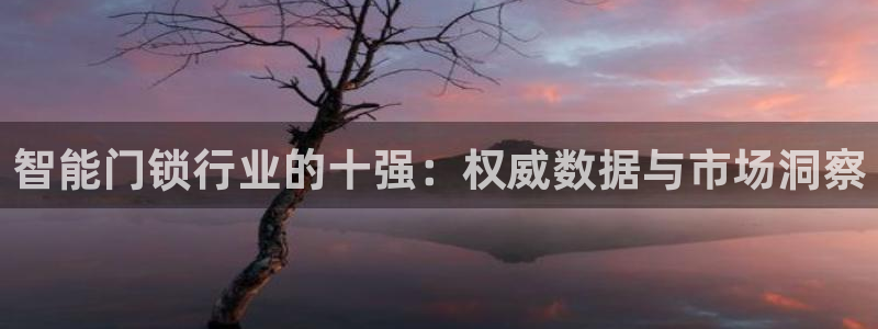 富联娱乐代理是谁的公司：智能门锁行业的十强：权威数据与市场洞