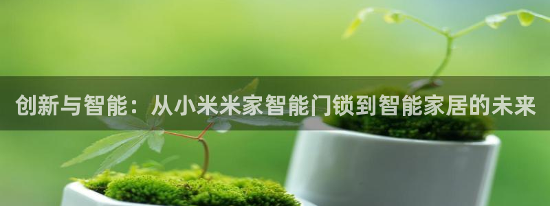 富联娱乐招商分听判官333OO：创新与智能：从小米米家智能门