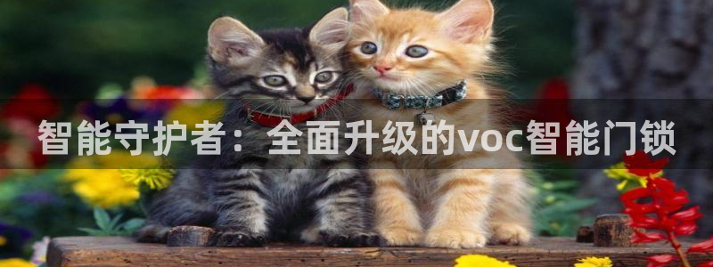 富联娱乐寸六七五一38：智能守护者：全面升级的voc智能门锁