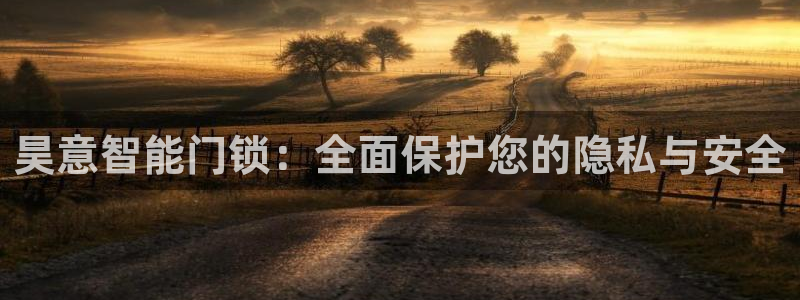 富联娱乐在线官网下载：昊意智能门锁：全面保护您的隐私与安全