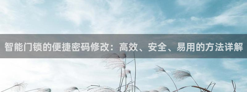富联娱乐账号注册流程：智能门锁的便捷密码修改：高效、安全、易